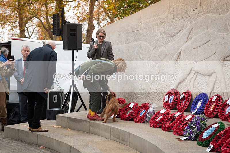 Z62_4676 - Animals In War Memorial 2025 - Park Lane, London