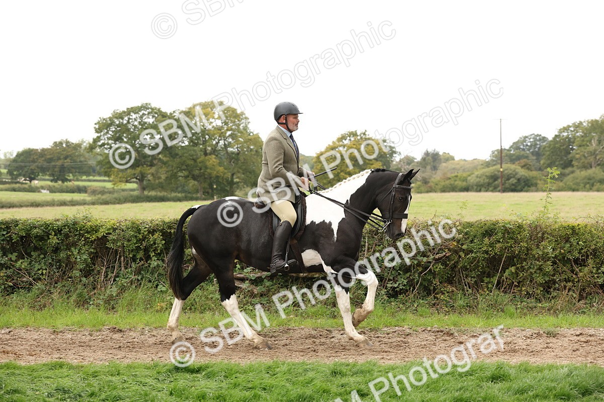 SBM_67228 - S67 - Piebald & Skewbald Horse Ridden