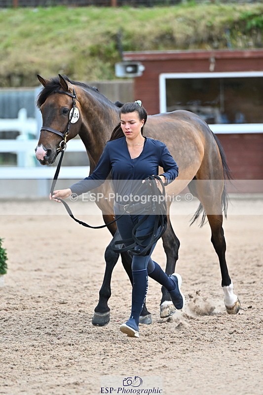 240718A-105309-01622 - Trot Up 1pm to 2pm