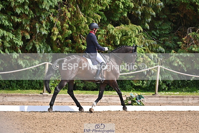 250523A-145641-07391 - B-365-Tom.McEwen-MAESTRO