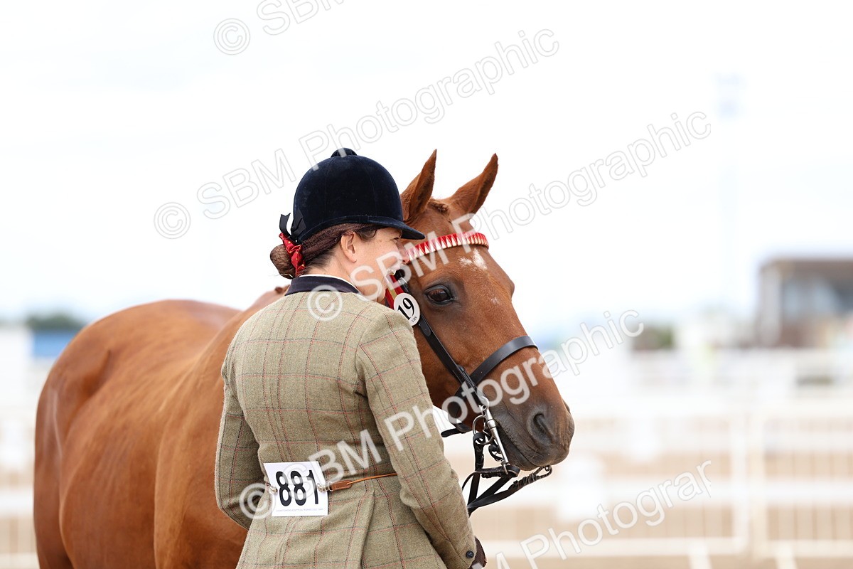 SBM_04510 - Class 26 - IH Foreign Breeds - Part Bred