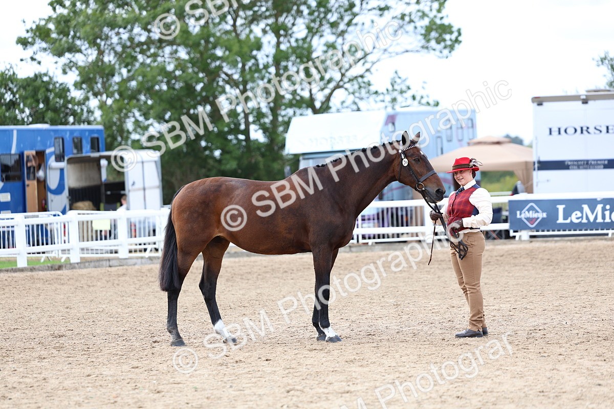 SBM_03929 - Class 25 - IH Foreign Breeds - Pure Bred