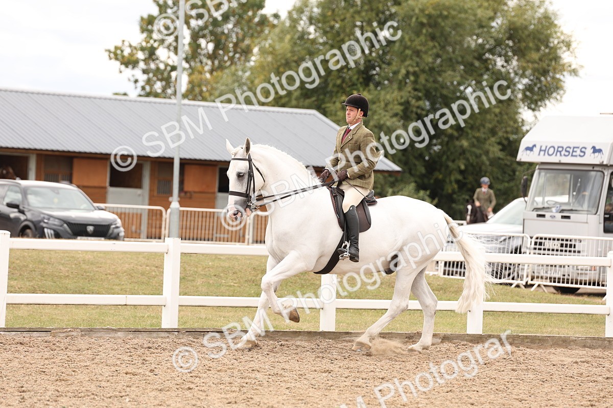 SBM_17254 - Class 213 - Ridden Hunter - Large