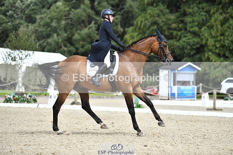 230812-135430-04541 - Cls 7 FEI PSG Bronze