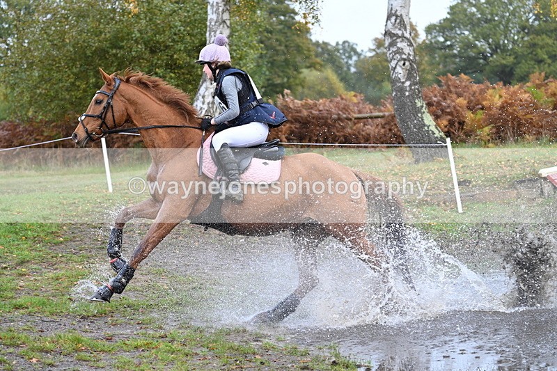 WJ7_0036 - 80cm Cam 2 Water Time 10:24 to 10:44