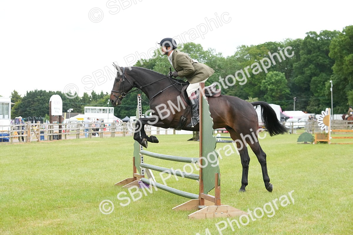 SBM_12537 - Class 97-98 - LIHS BSHA Rising Star Working Show Horse Hunter