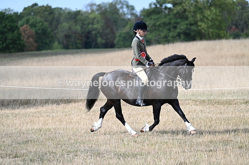 WJ7_7612 - Ridden Championship