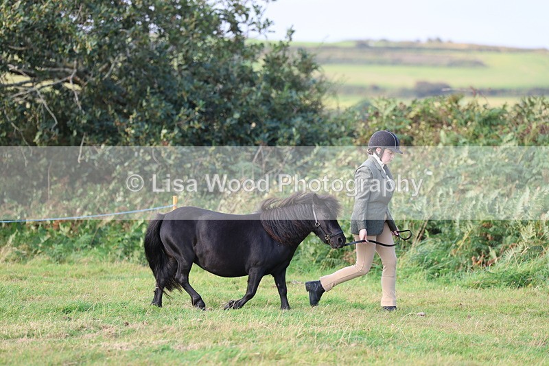 3E7A3121 - Class 12: M & M Small Breeds