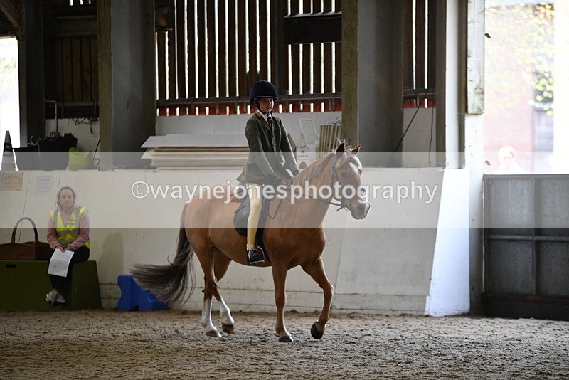 WJ5_6227 - Class 9 Ridden Veteran