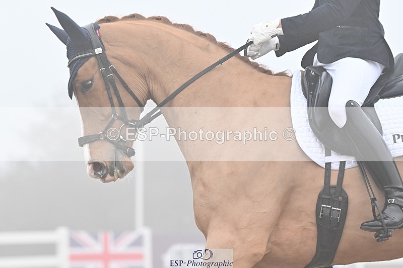 240217A-103257-01119 - 273-Tom.Carter-Newton.Dreamcatcher