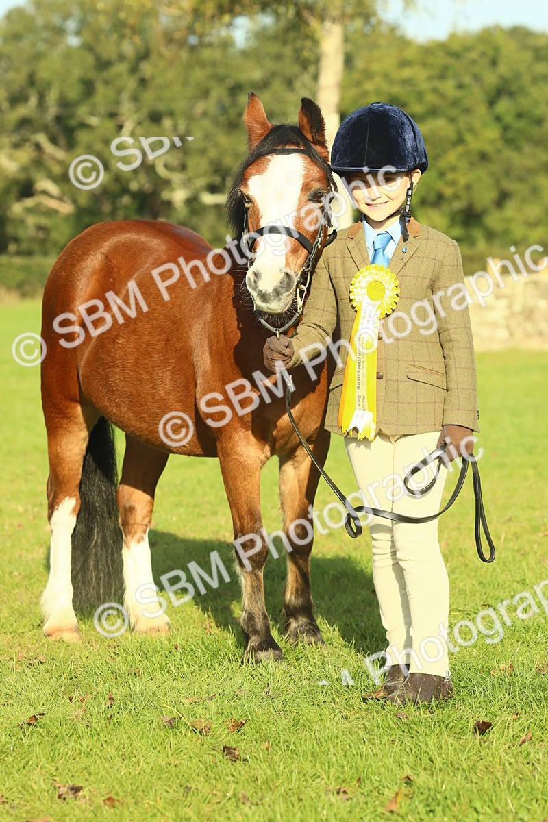 SBM_58519 - S37 - Starters In Hand Showing