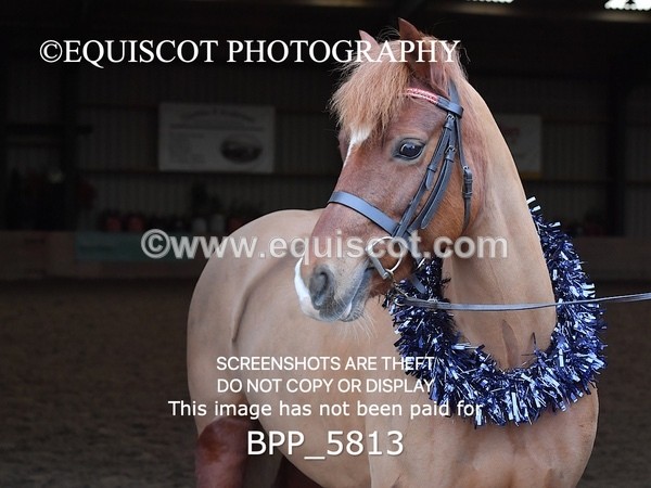 BPP_5813 - Sarah Page