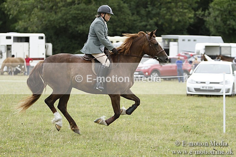 BVR160717-971 - Ring 3 BVRC Show 16/07/17