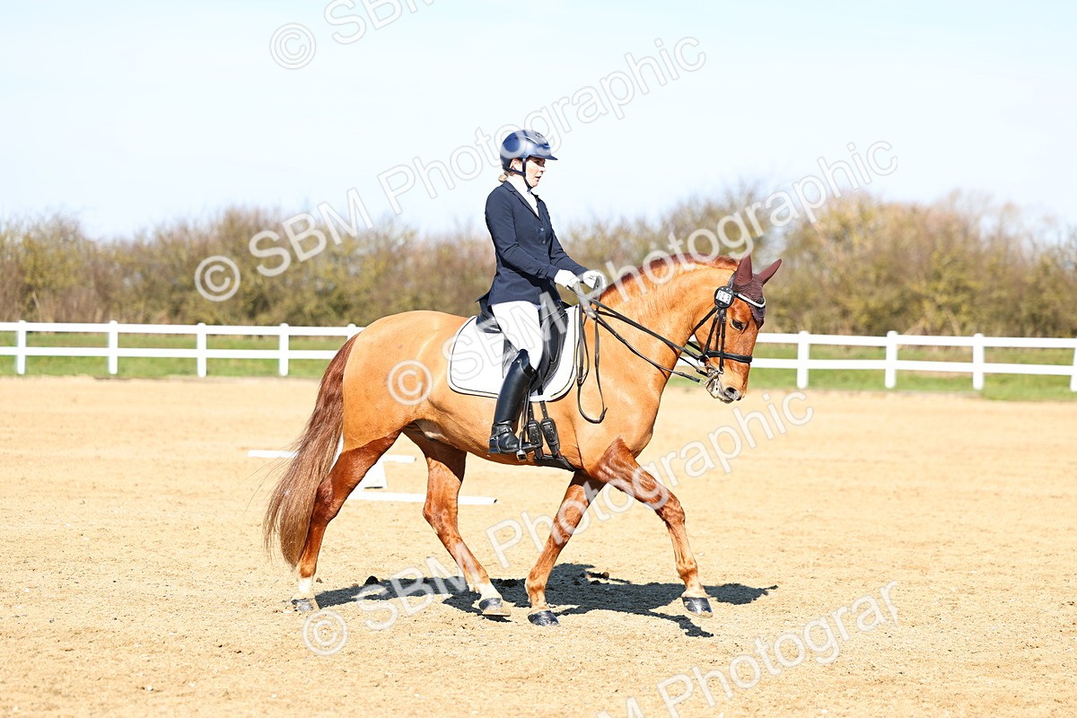 026A8539 - Class 2-6-5-4 - Paso Doble-Sevilla-Golega-Novato