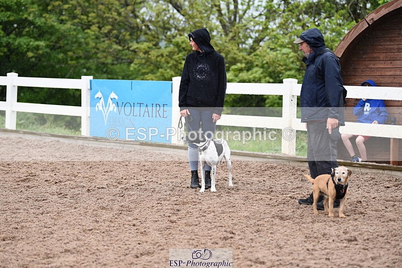 240518A-133812-01334 - Cls 9 Best in Show