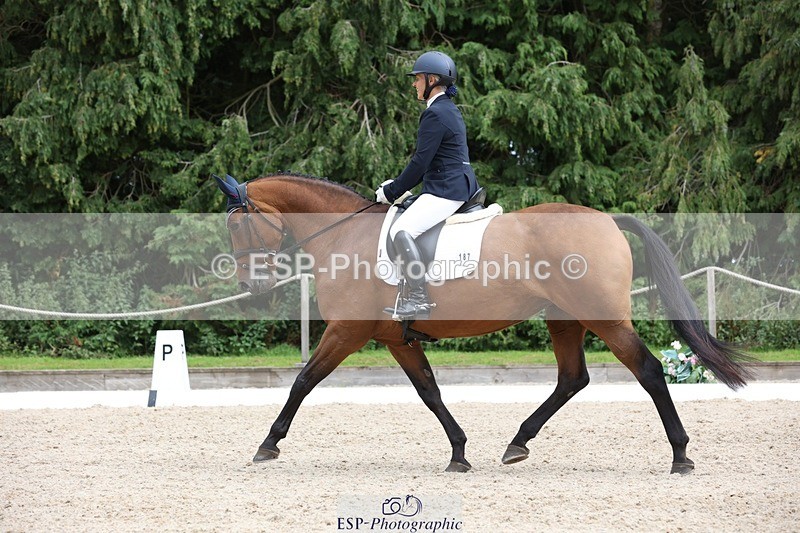 230812-150149-05027 - Cls 5 Novice Bronze 15.00 to End