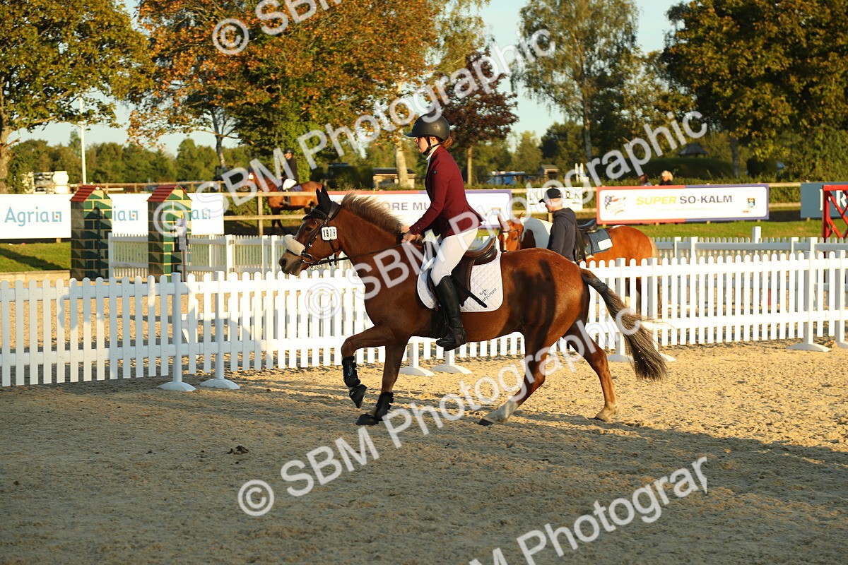 SBM_53972 - J8 - Junior Pony 65cm Championship