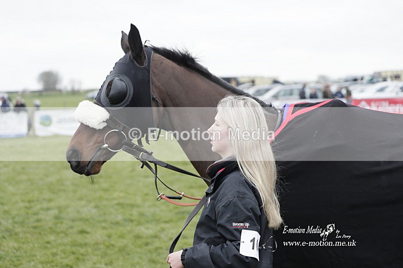 PtP 050323 363 - Blackmore & Sparkford Vale Hunt PtP - Somerset 05/03/23