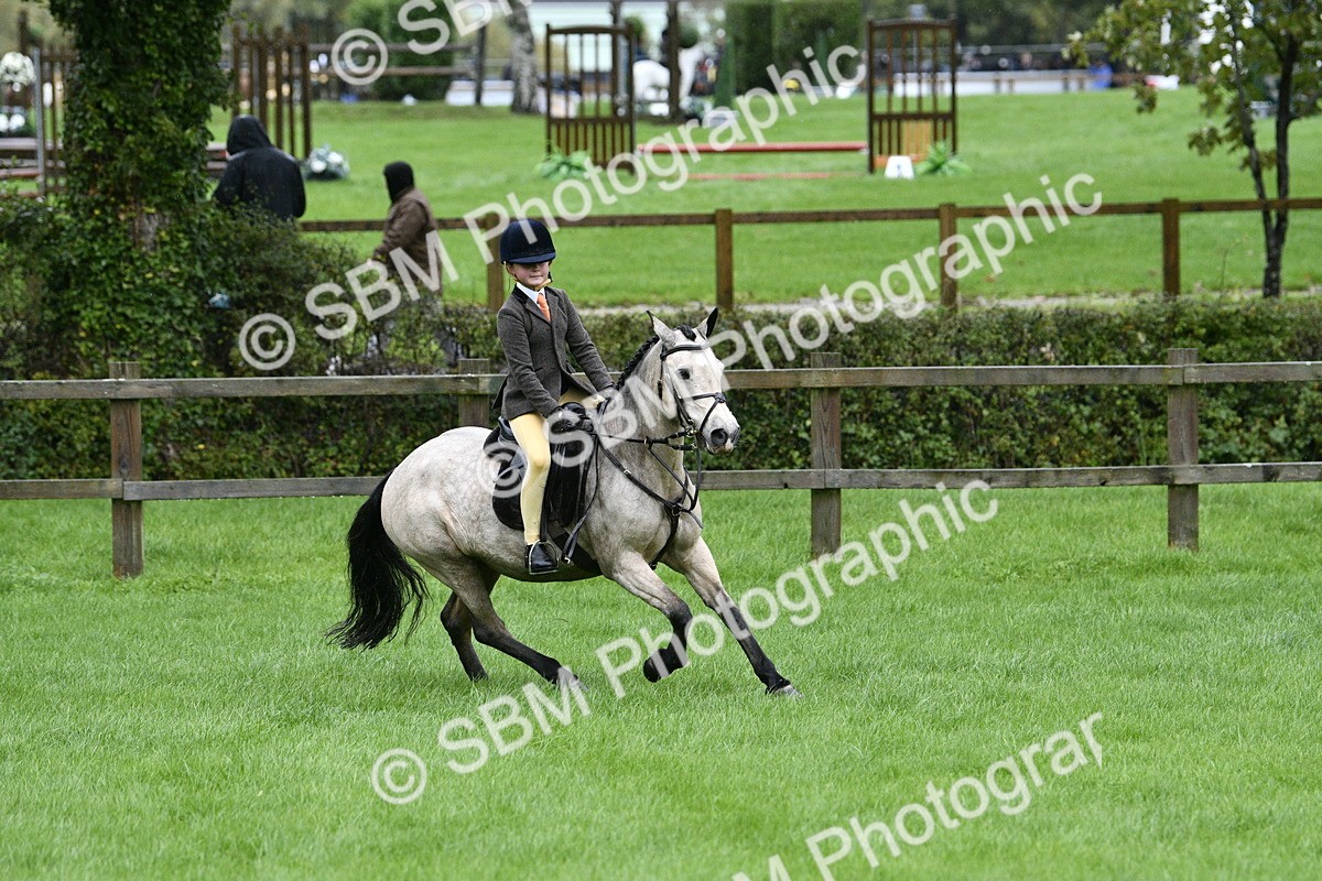 SBM_35547 - S30 - Nursery Stakes Working Hunter Pony