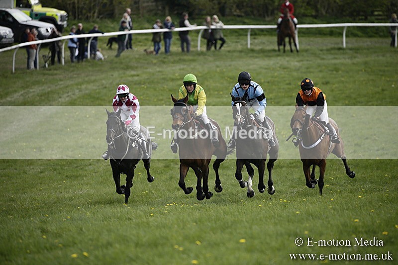 PtP 170417 312 - Old Berks Point-to-Point Lockinge 17/04/17