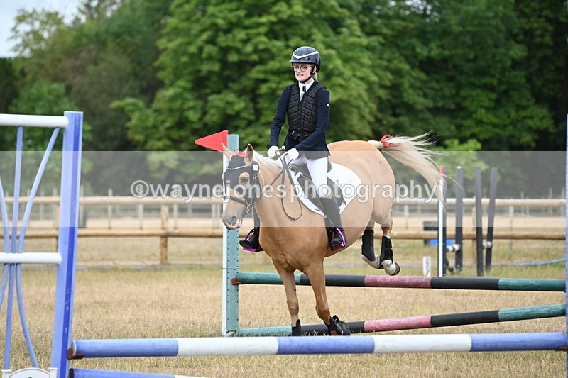 WJ6_9911 - Class 13 Novice Jumping 60cm