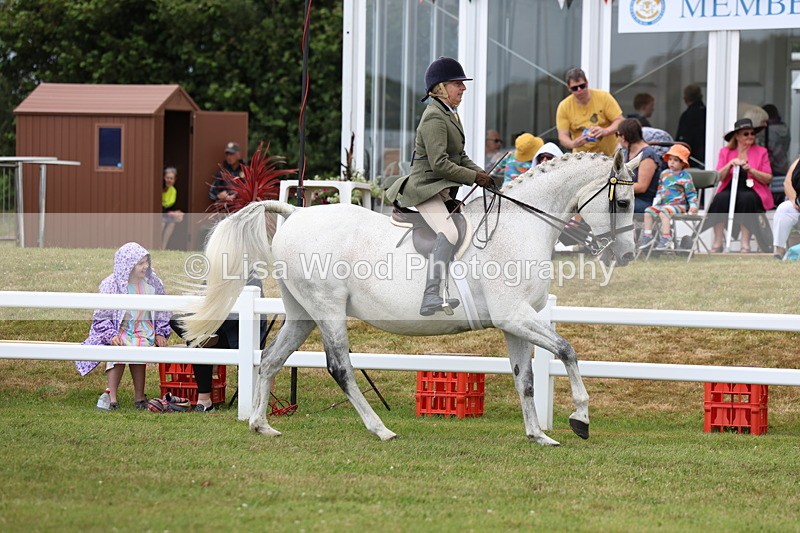 3E7A0907 - Class 8: Open Riding Horse/Hack