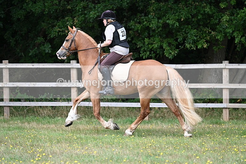 WJ7_0309 - XC Time 10:05 to 12:27