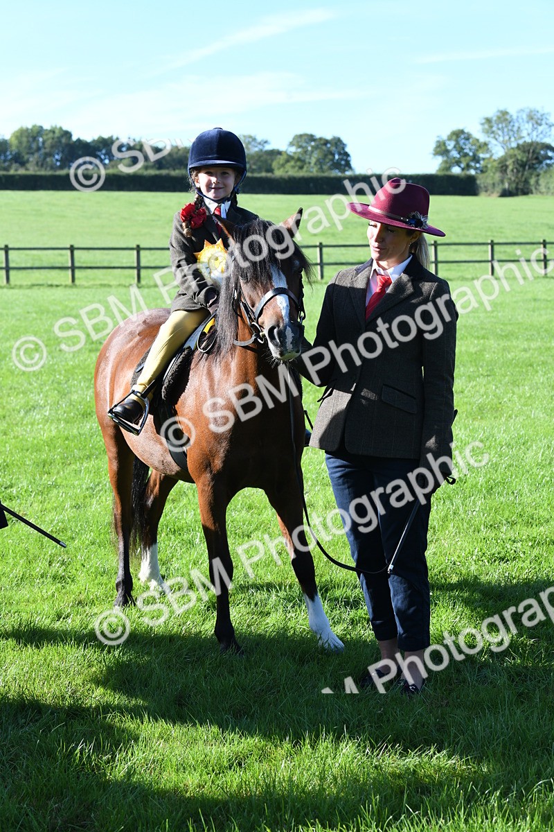 SBM_35487 - S17 - Condition & Turnout - Lead Rein