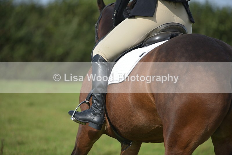RAY_7753 - Class 2B: Trekenning Open: Dressage
