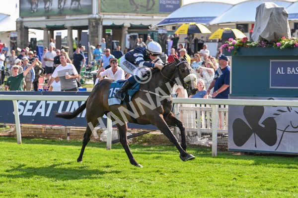 130625-Race 7-Dawn Of Liberation-0178 - Race 7 5.20pm Irish Thoroughbred Marketing Handicap