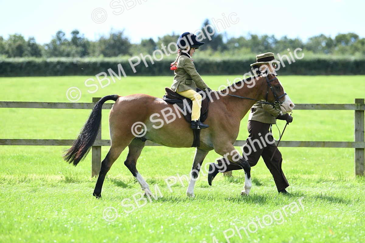 SBM_41204 - S19 - Lead Rein Show & Show Hunter Pony