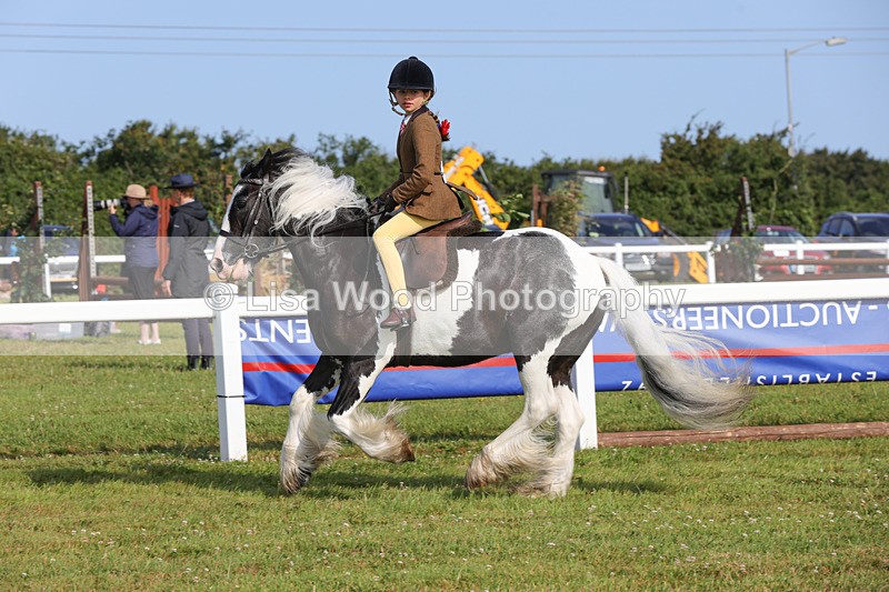 1X9A3276 - Class 28: Ridden Native/Trad Coloured Pony