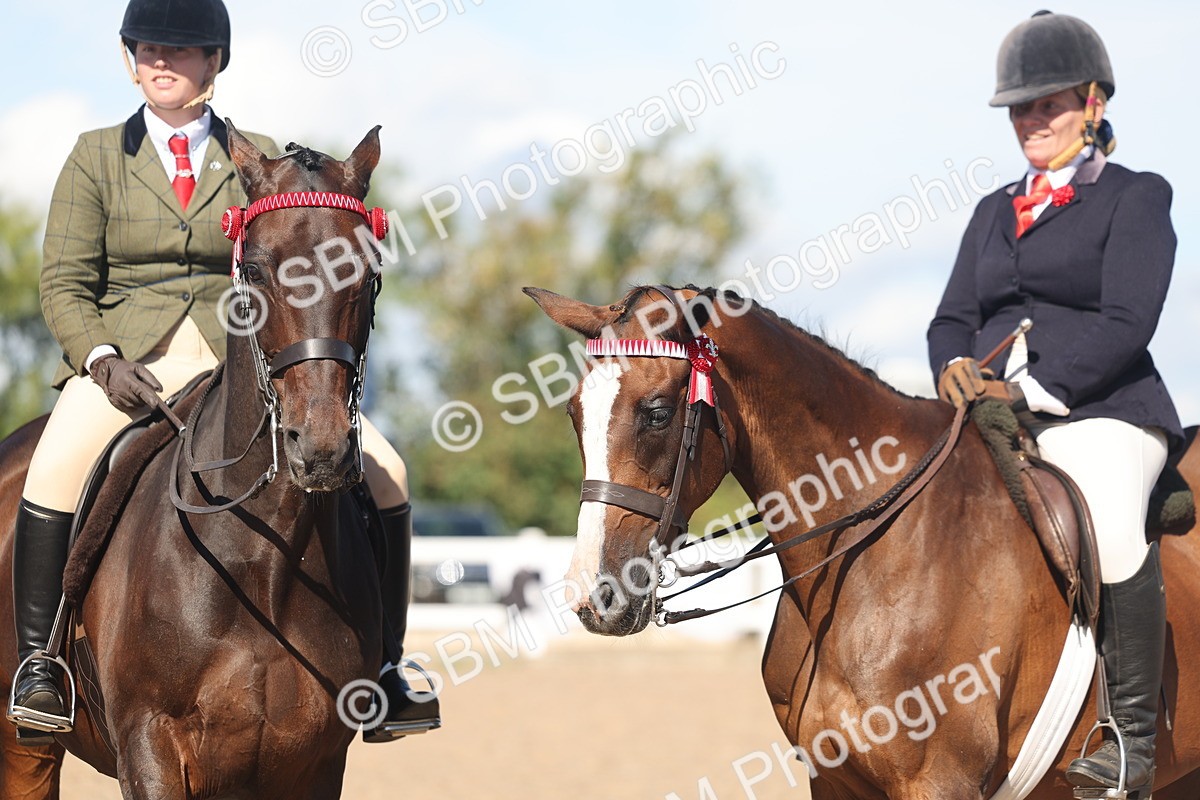 SBM_13093 - Class 305 - Ridden Foreign Breed Pure Bred