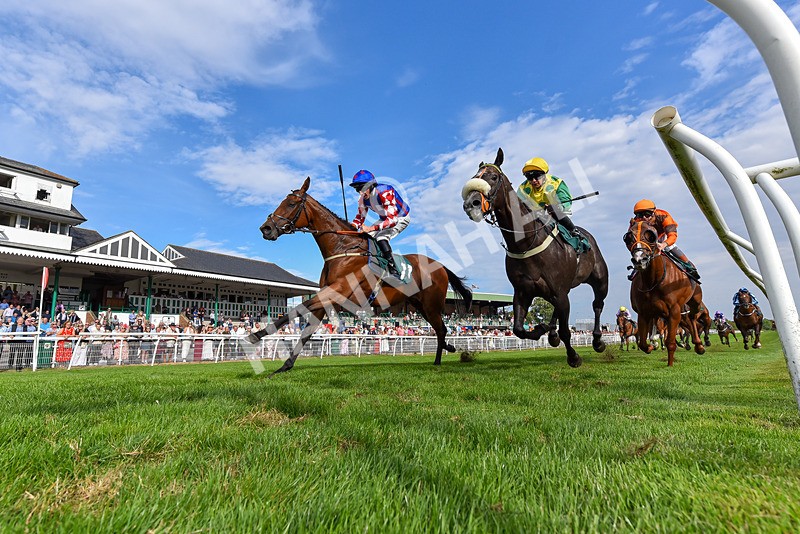 260826-Race 6-Lanarra-6471 - Race 6 16:52 Celebrate National Racehorse Week Classified Stakes