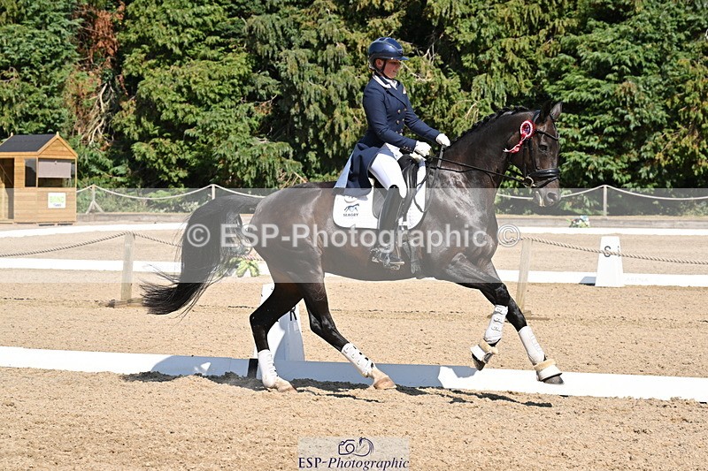 250810A-152910-08063 - Intermediate I GOLD Presentations