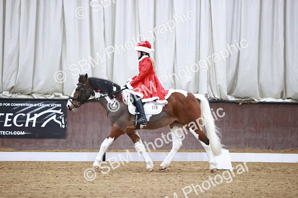 SBM_000205 - Class 1-4 - Intro - Prelim 1