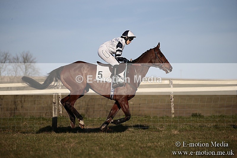 PtP 240218 665 - Vine & Craven Hunt Point-to-Point Barbury racecourse 24/02/18