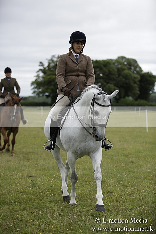 BVR160717-792 - Ring 1 BVRC Show 16/07/17