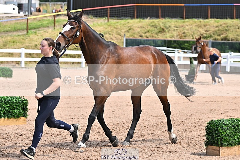 240718A-105257-01361 - Trot Up 12pm to 1pm