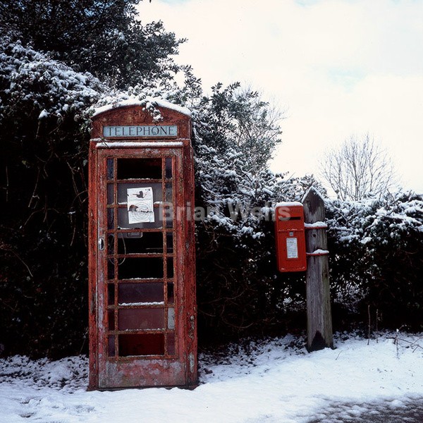 Snowy Hales - Miscellaneous Gallery