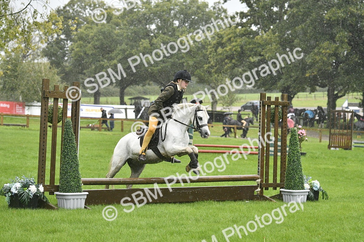 SBM_37129 - S31 - Novice & Newcomer Working Hunter Pony