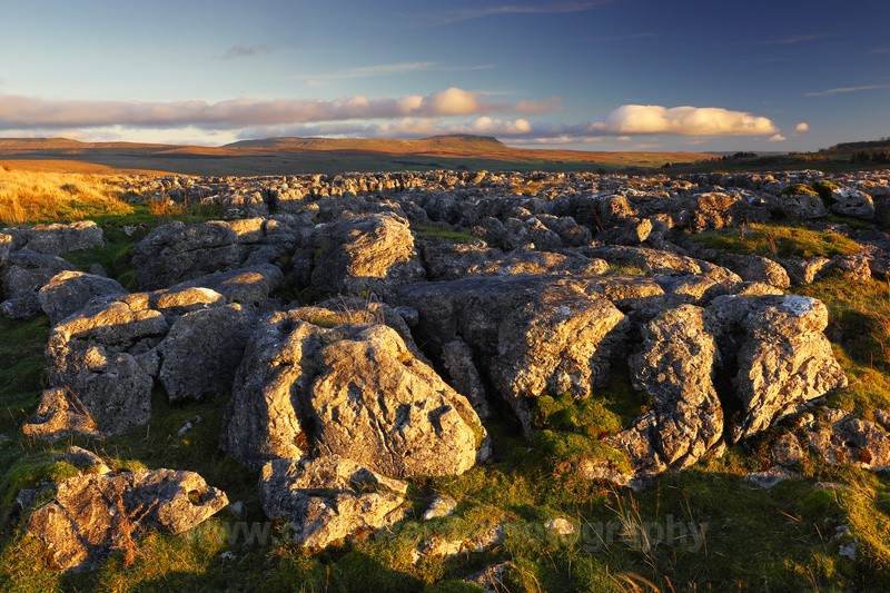 Limestone Pavement, Batty Moss.         ref 1388 - The Pennines and Cumbria