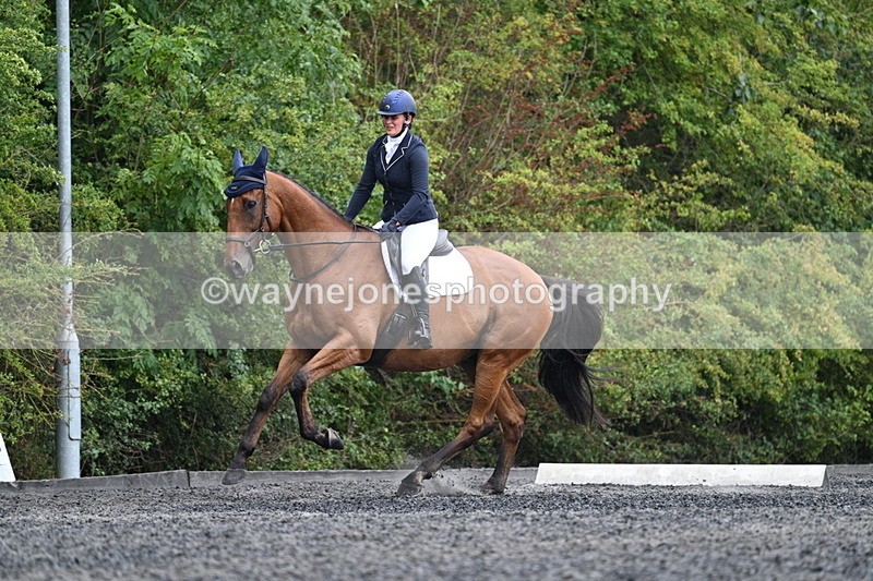 WJ7_6229 - Time 11:38 to 12:03