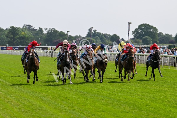 130625-Race 3-Easy Peeler-8985 - Race 3 3.00pm British EBF Supporting Racing With Pride Fillies' Handicap