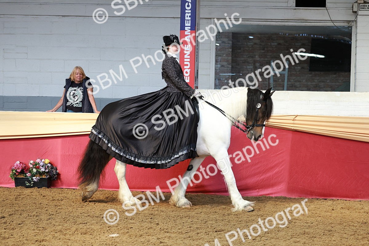 SBM_13667 - Class 106 - Ridden Costume -Astride Adult (15-19)