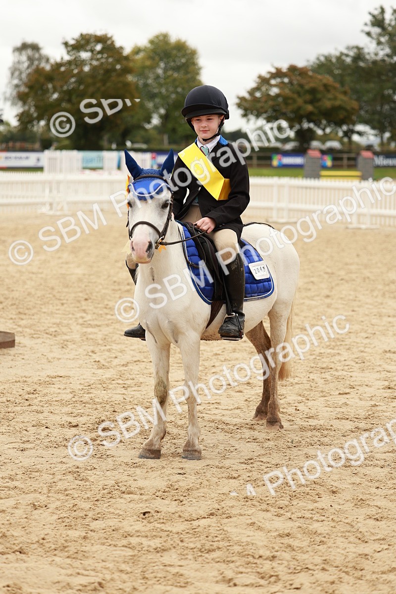 SBM_58076 - J11 - Junior Pony 50cm Championship