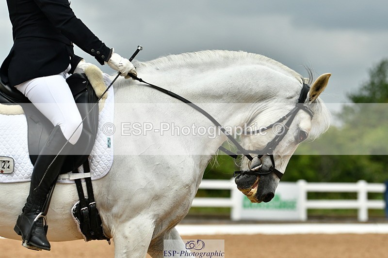 230701A-113821-05278 - Cls 5 Novice 37A