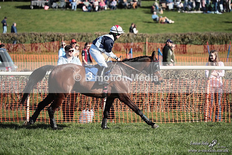 PtP 210326 651 - VWH Cirencester Races 21/03/26