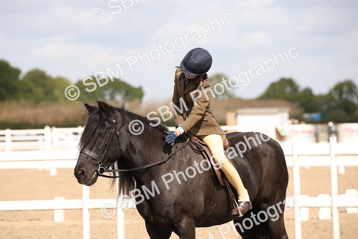 SBM_03777 - Class 19 Judge's Favourite