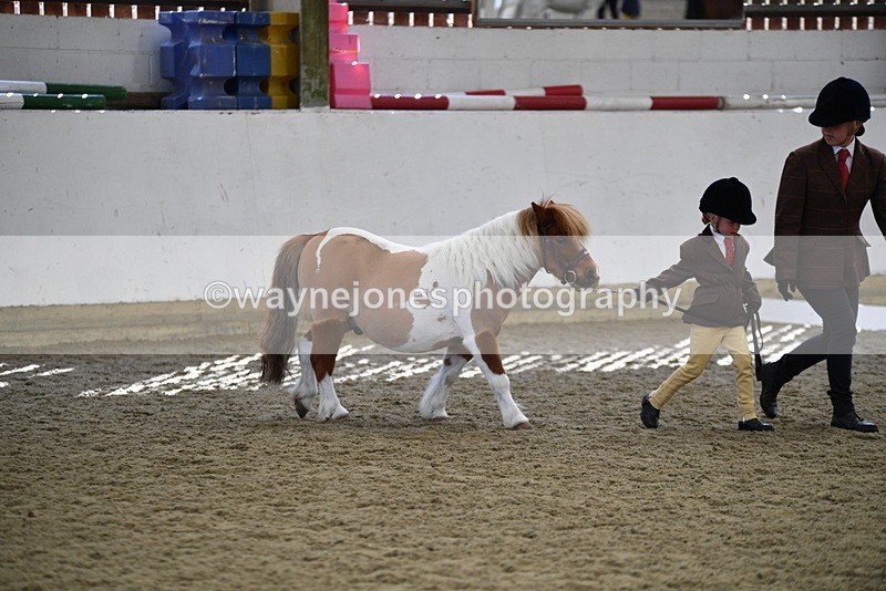 WJ5_4892 - Class 7 In hand coloured / odd coloured